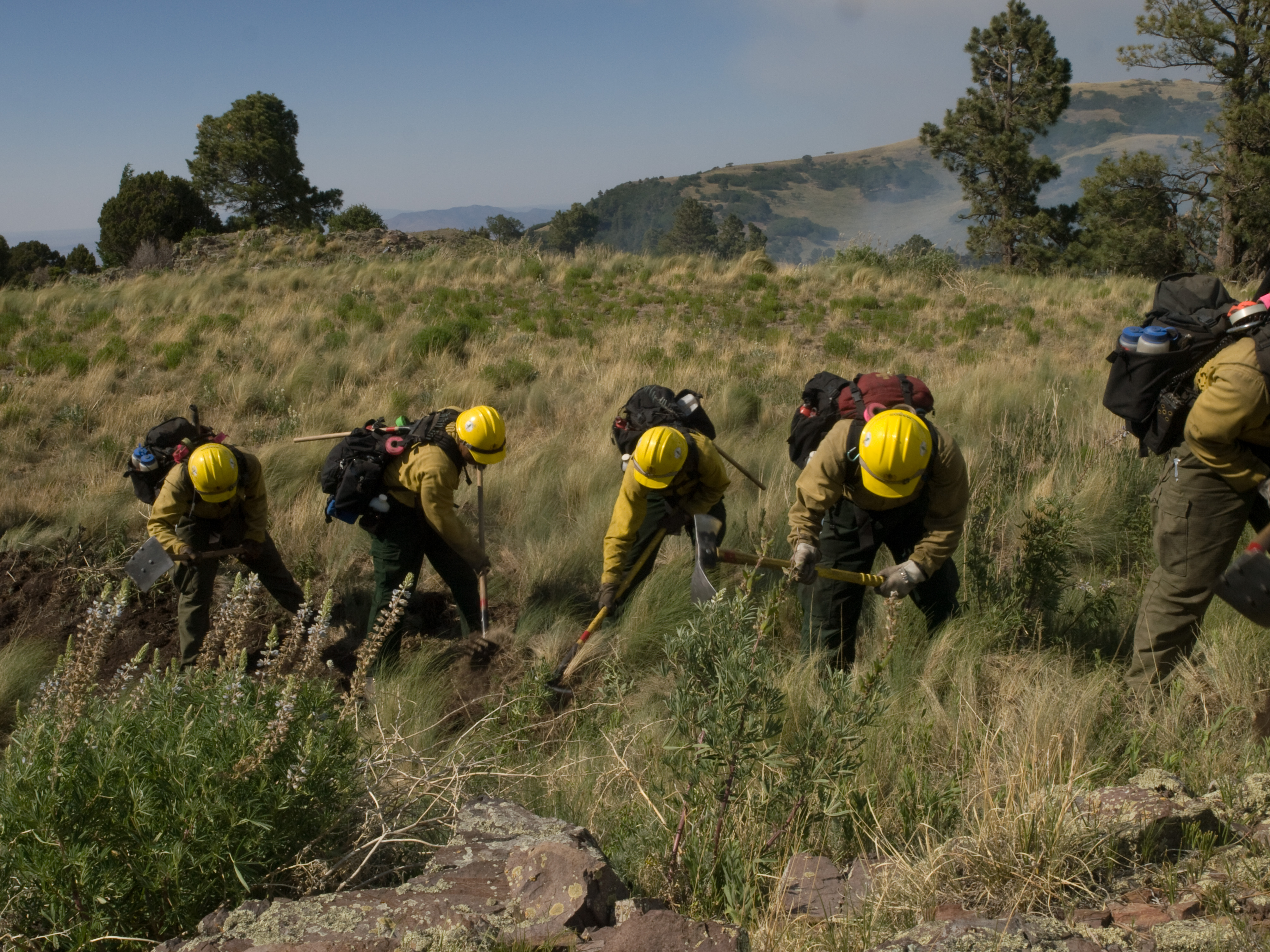 Crews  National Interagency Fire Center