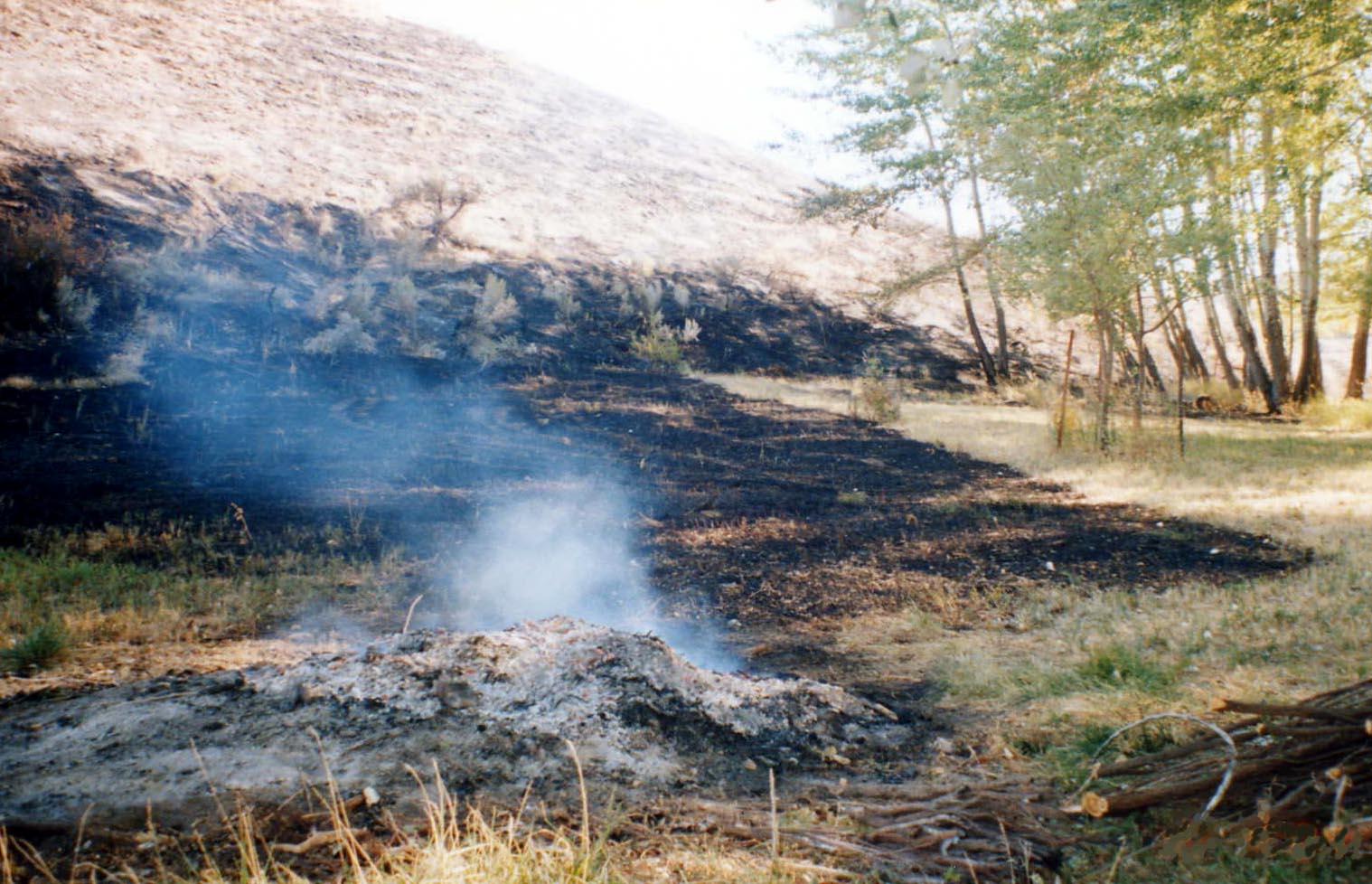 Debris burning can cause wildfires.