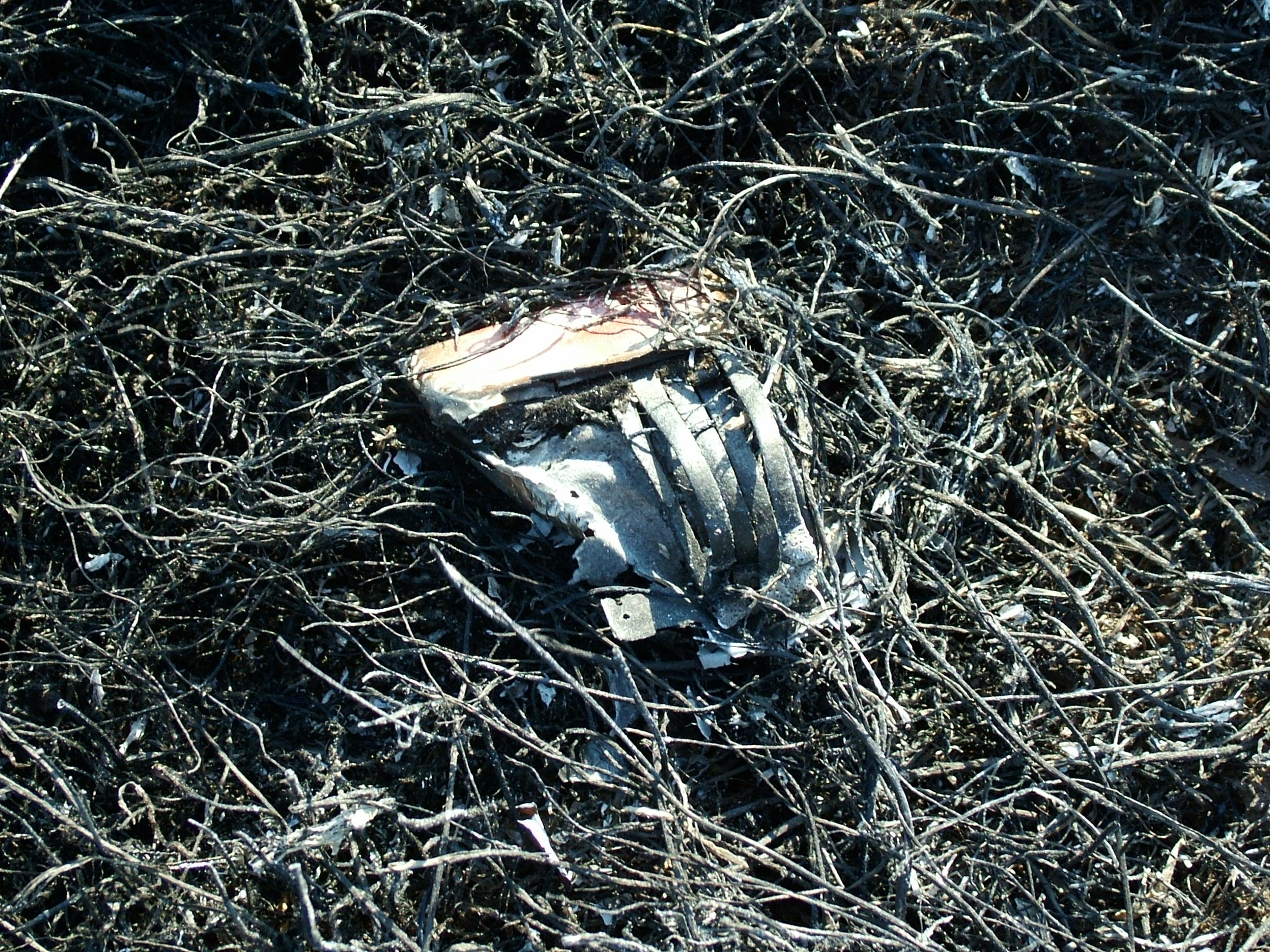 Matches burnt at the site of a wildfire ignition.
