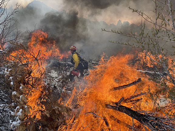 Firefighter conducting a prescribed burn