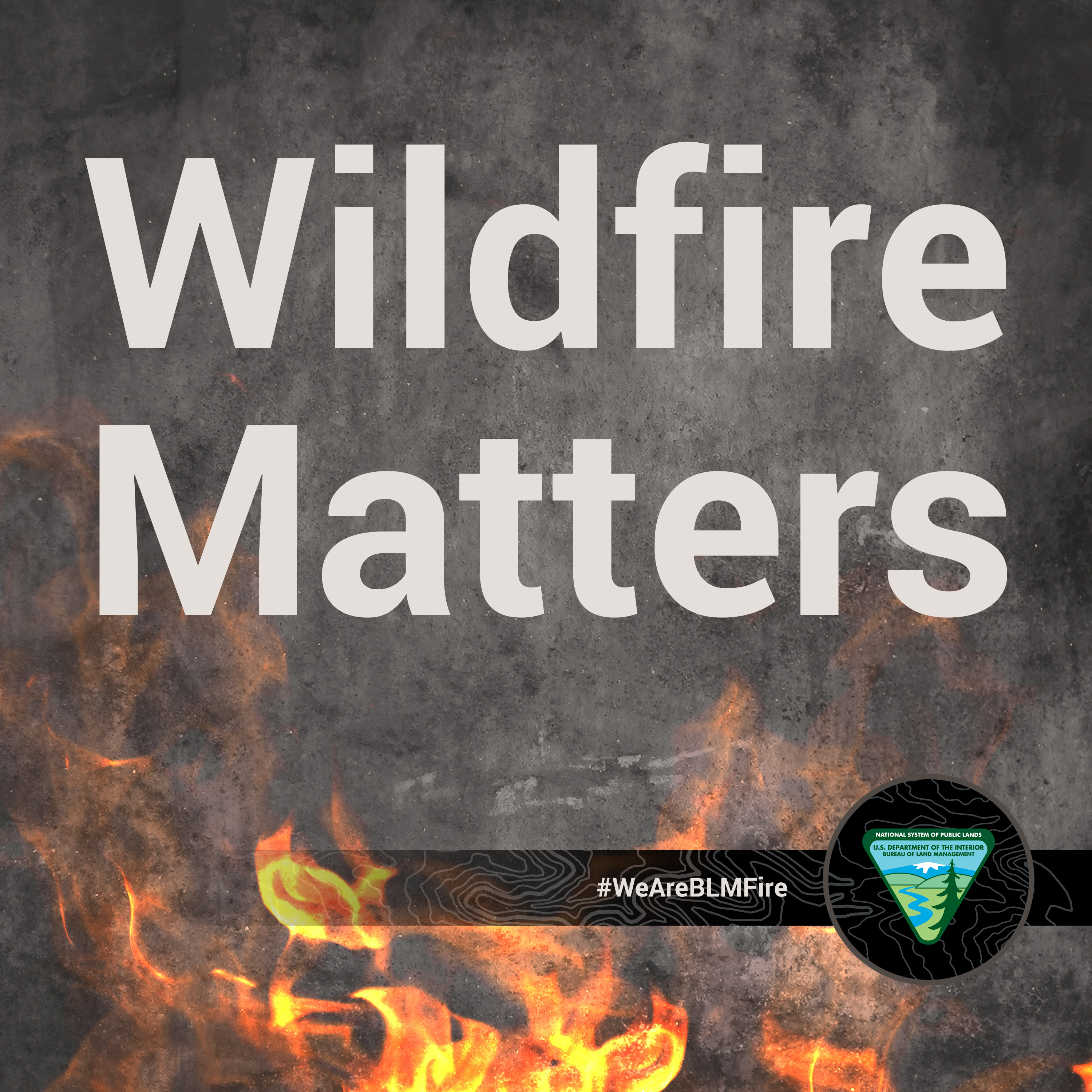 Wildfire Matters Podcast