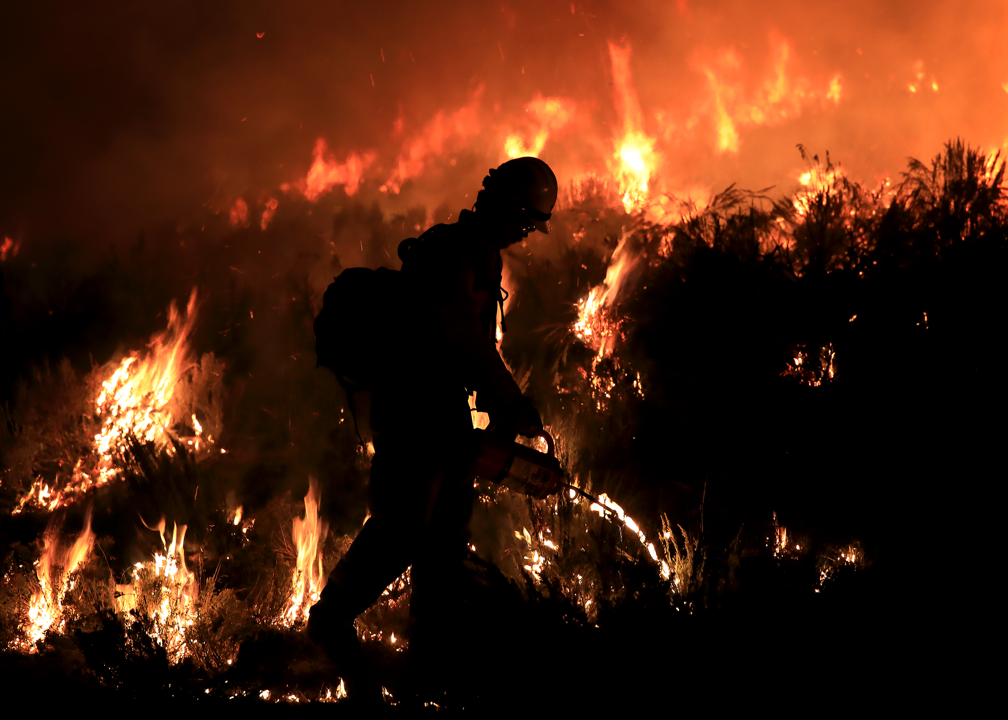 Director's choice in BLM Fire employee photo contest.