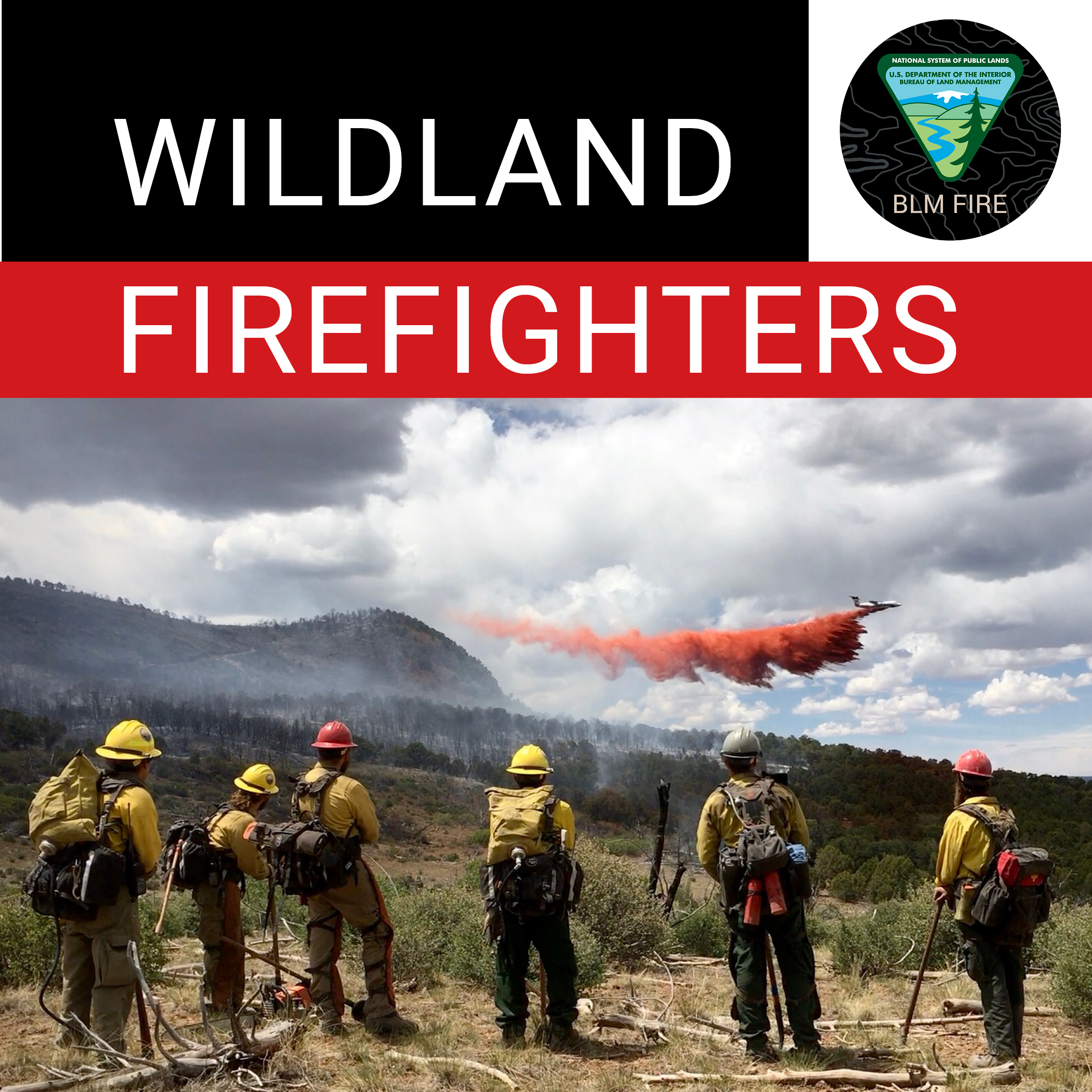 Wildland Fire: Fireline Construction (U.S. National Park Service)