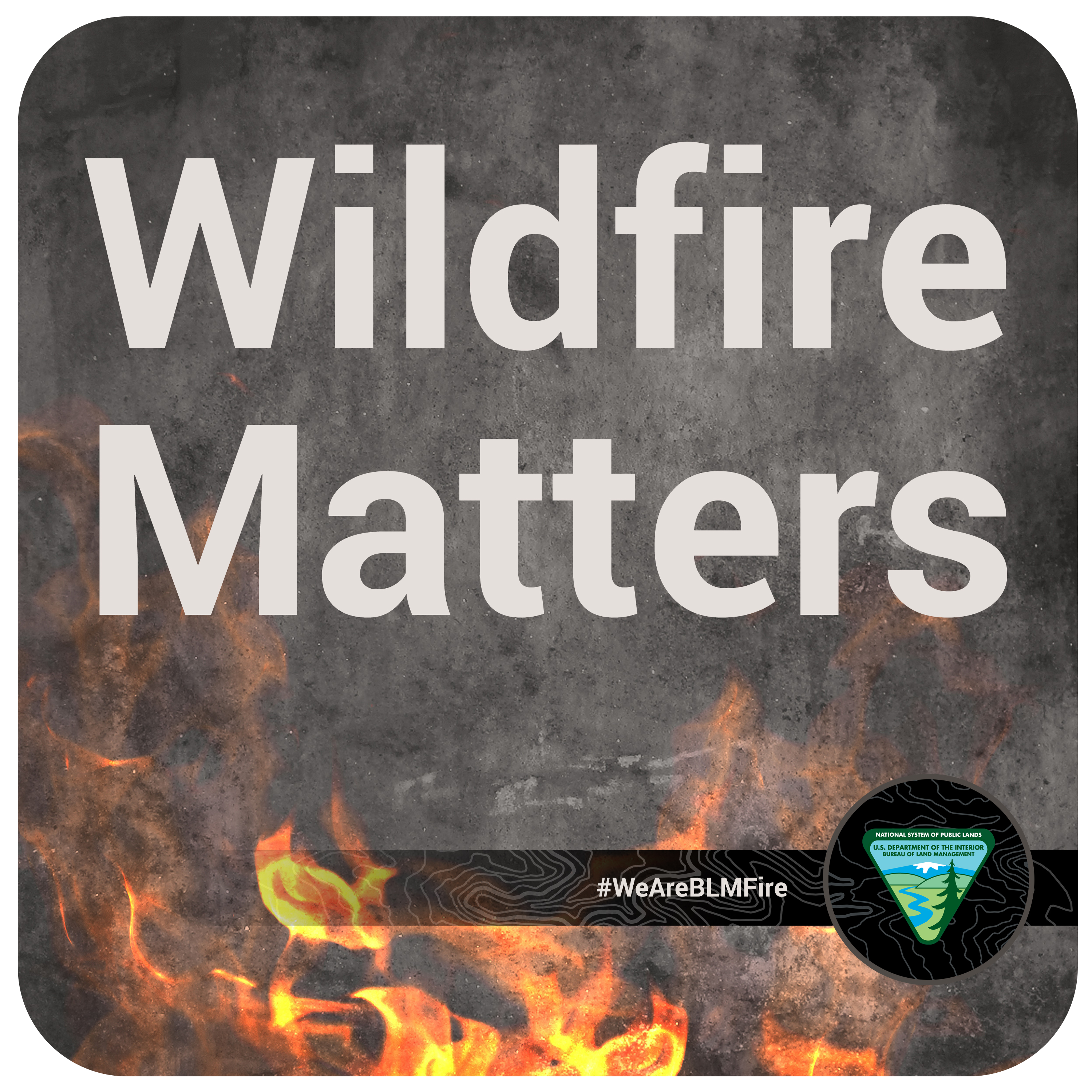 BLM Fire Wildfire Matters
