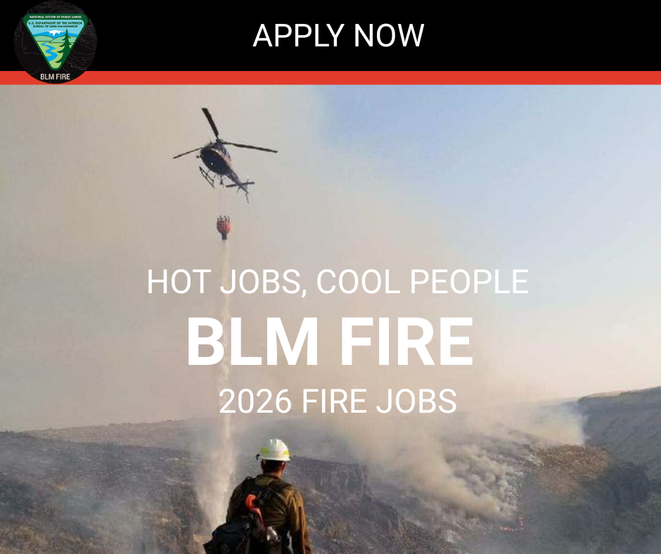 Fire managers