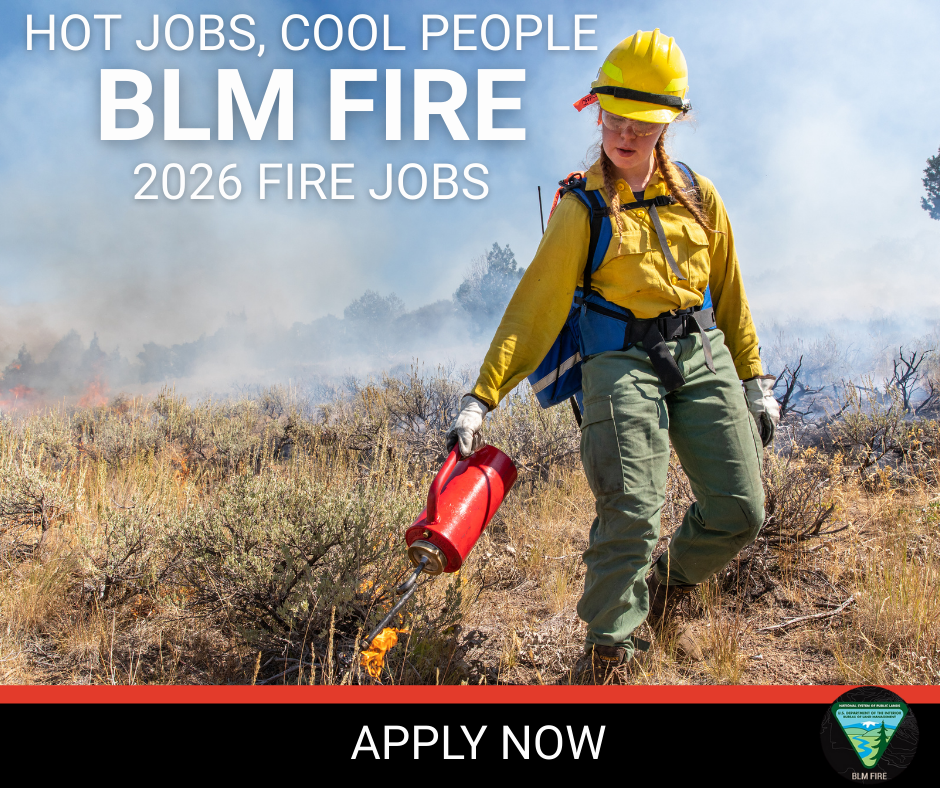 BLM Fire 2026 Fire Jobs