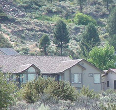 Photo of house with overgrown vegetation before fuels treatment