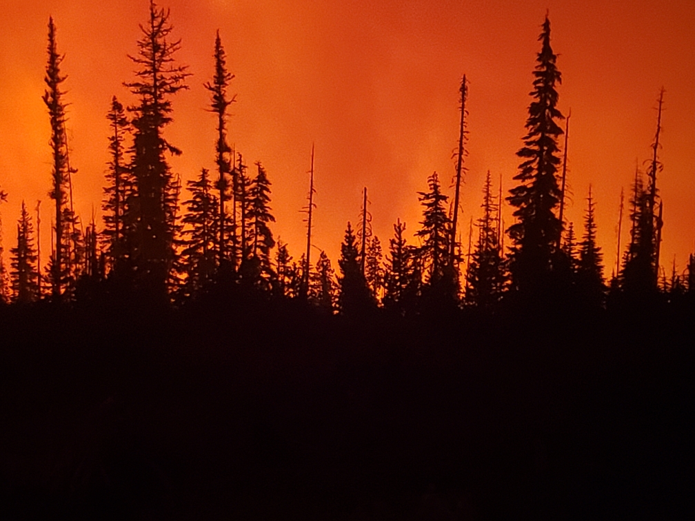 The Lionshead Fire lights up the night sky near Warmsprings, Oregon in 2020. Photo by Tavis Fenske