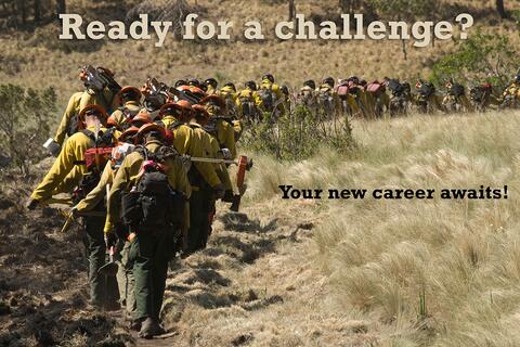 Ready for a Challenge? Your new career awaits!