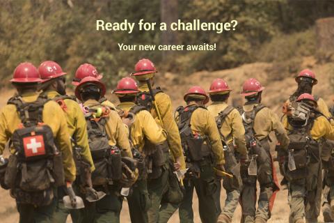 Wildland Fire Career