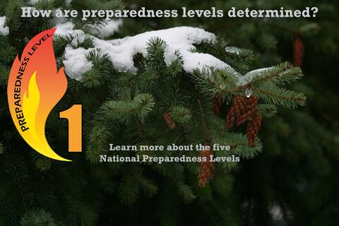 How are preparedness levels determined?