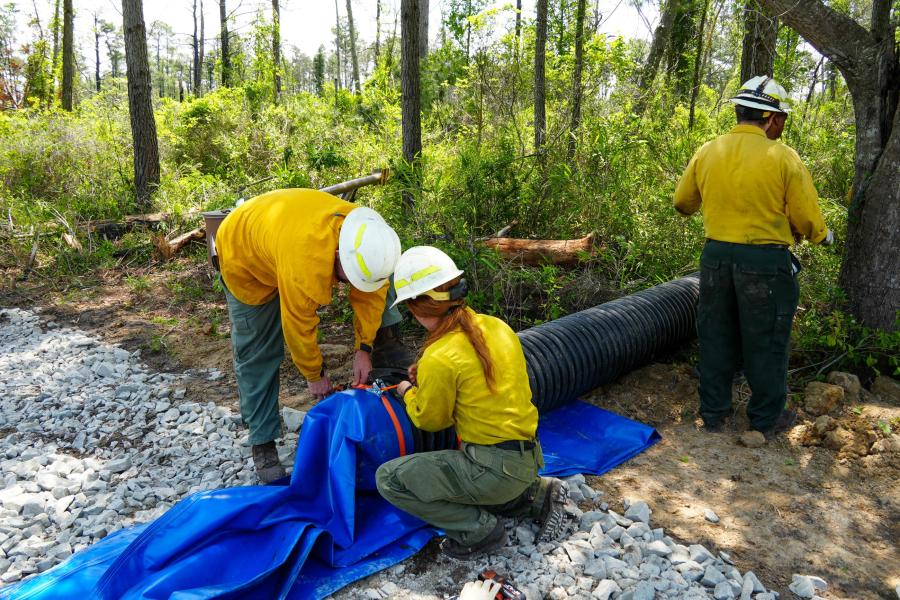 Firefighters work on the Black Swamp Fire in North Carolina.