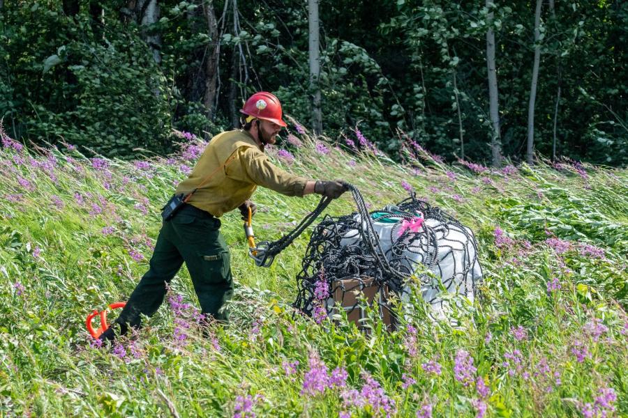 Nenana Ridge Fire, Alaska Helitack crewmember works on a sling load on the Nenana Ridge Fire in Alaska.